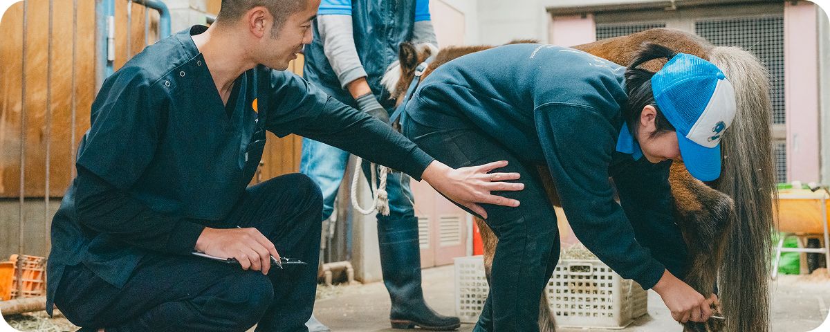 個別フィジカルチェック