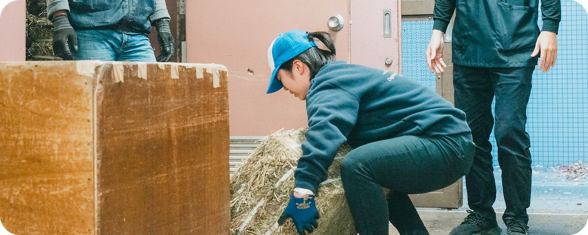 動作アドバイス